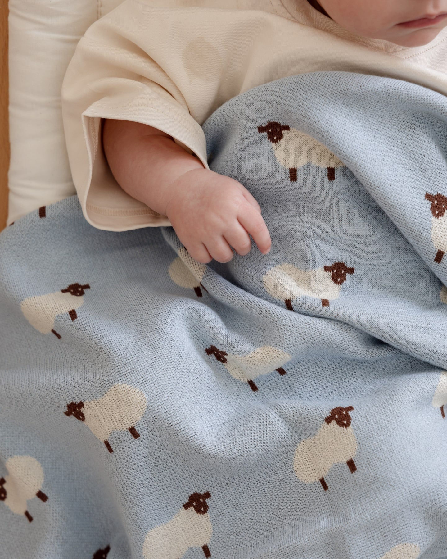 Baah Baah Blanket in Blue - Baby Blankets at Louie Meets Lola