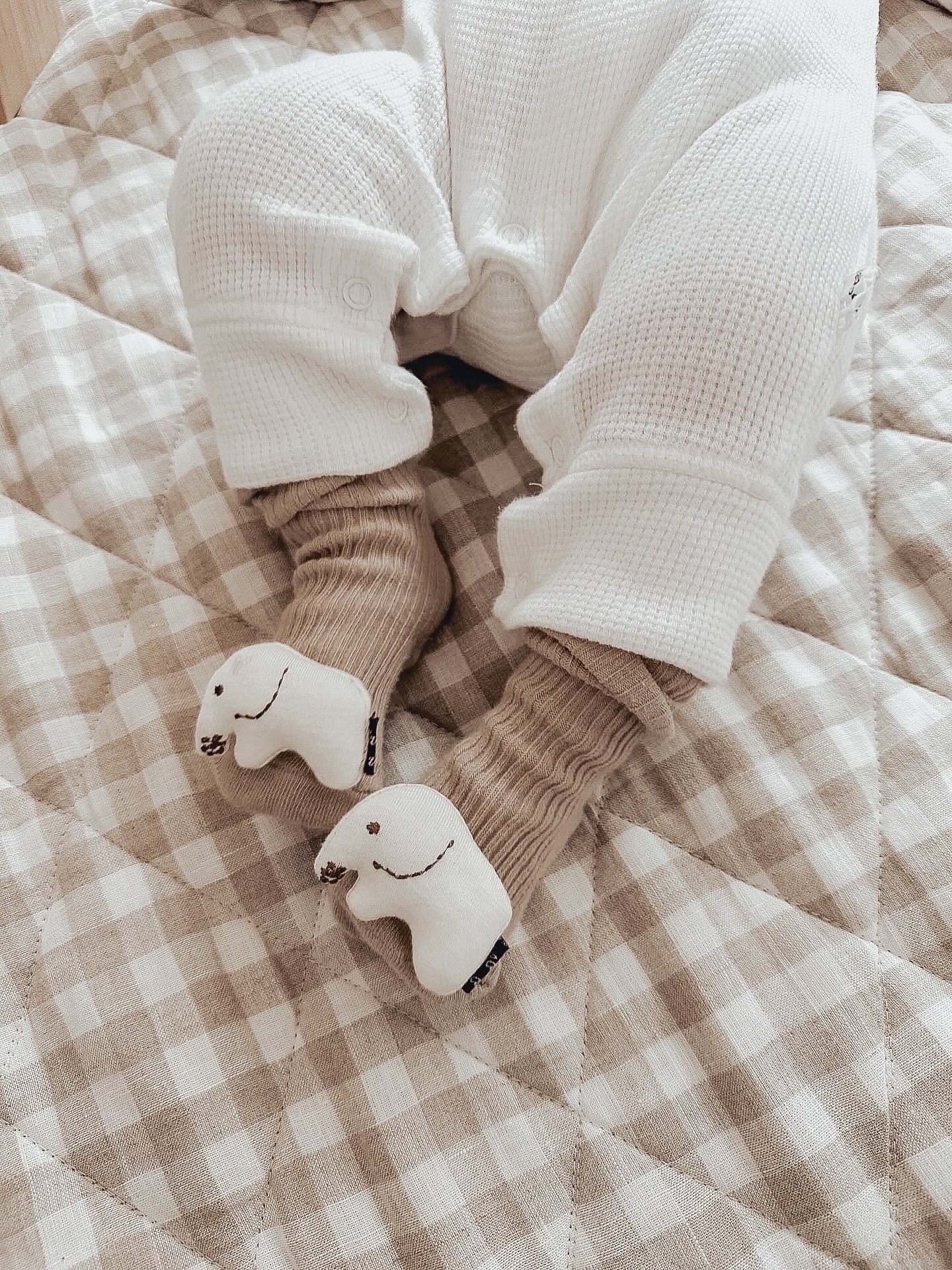In the Jungle Elephant Socks - Baby Socks at Louie Meets Lola